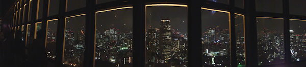 a panorama shot of the night view of the city through a grid of windows